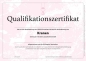Preview: Qualifikationszertifikat für Kranführer Zur rechtssicheren Dokumentation einer erfolgreichen Qualifizierung nach DGUV Grundsatz 309-003.